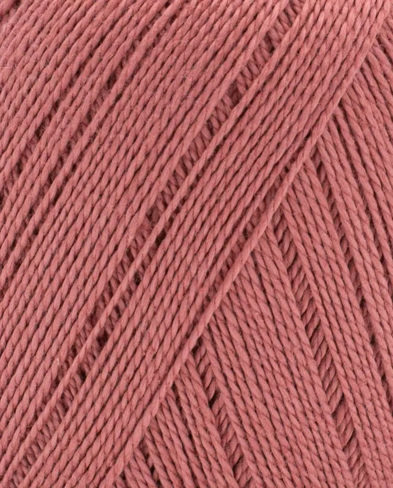 Perle 5