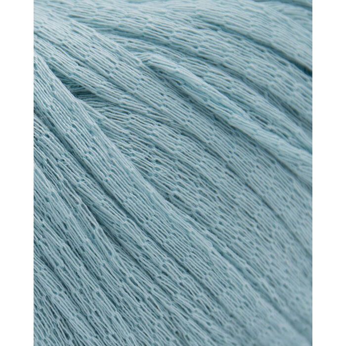 Eucalyptus