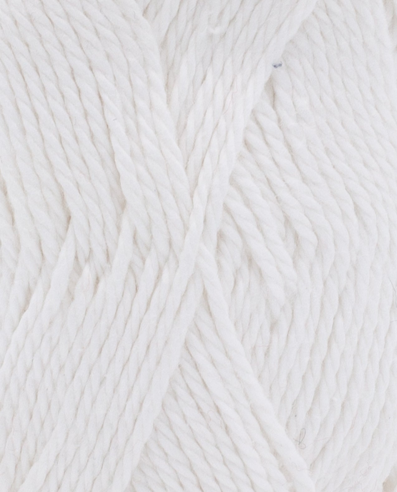 Amour Coton