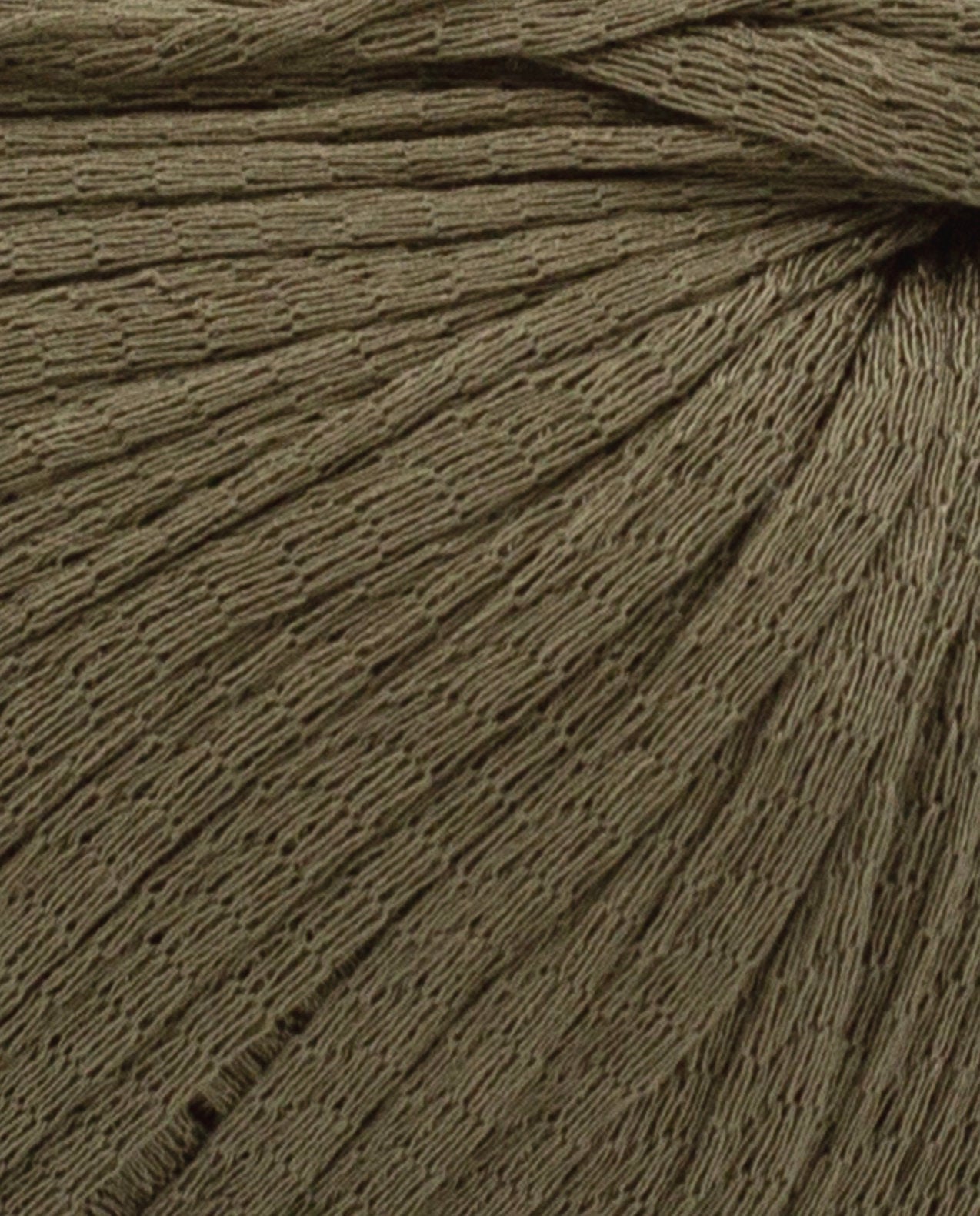 Eucalyptus