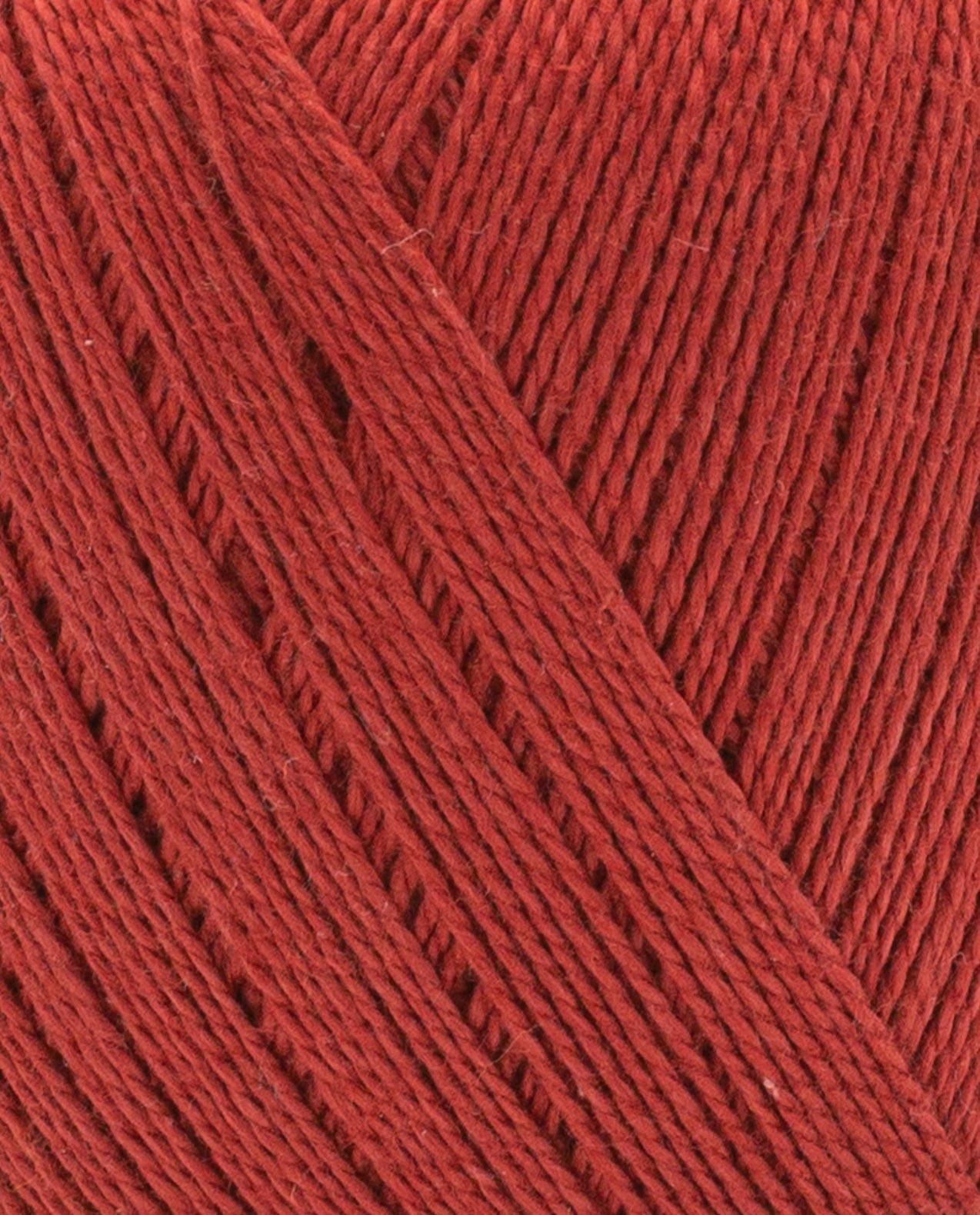 Perle 5