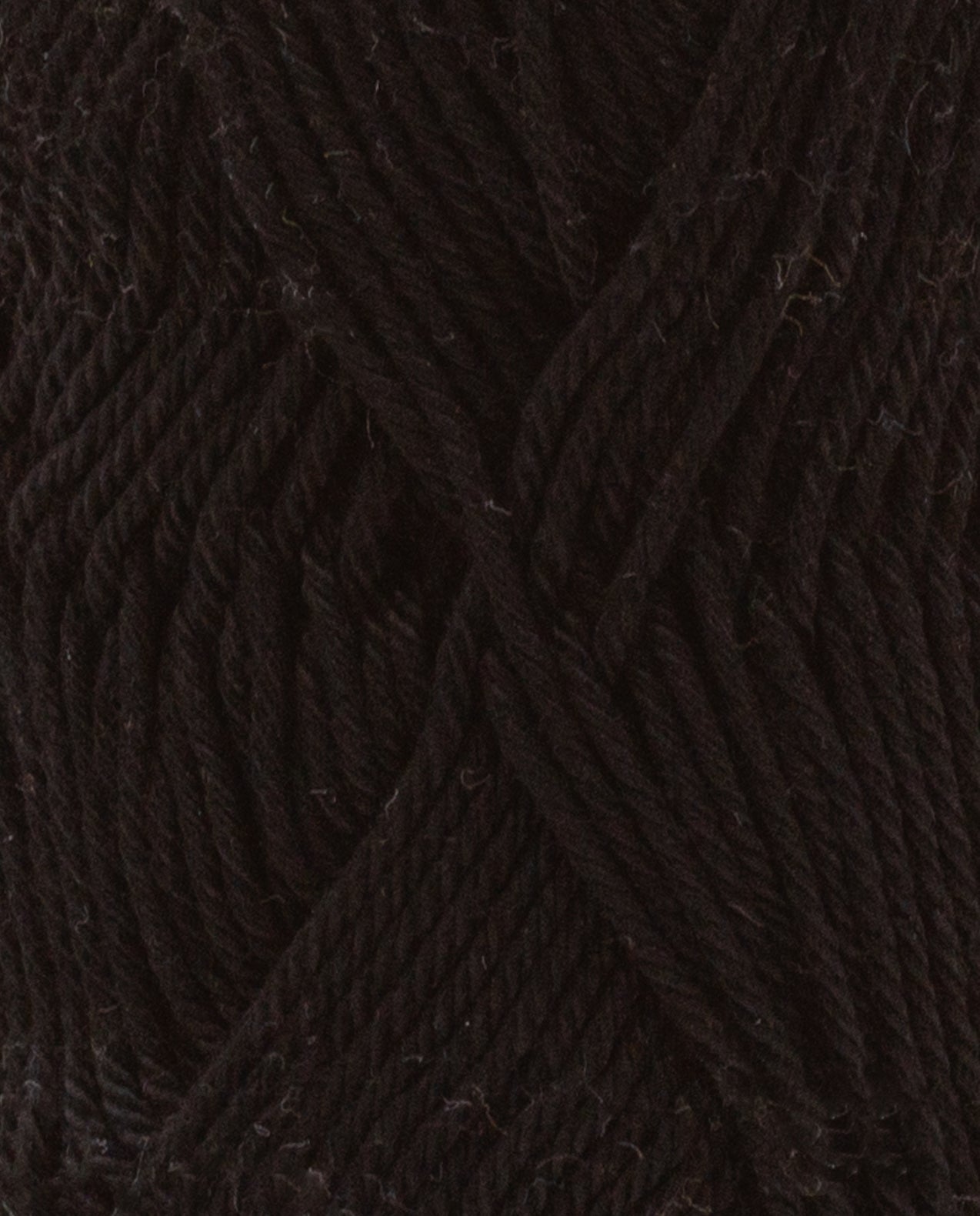 Coton 3