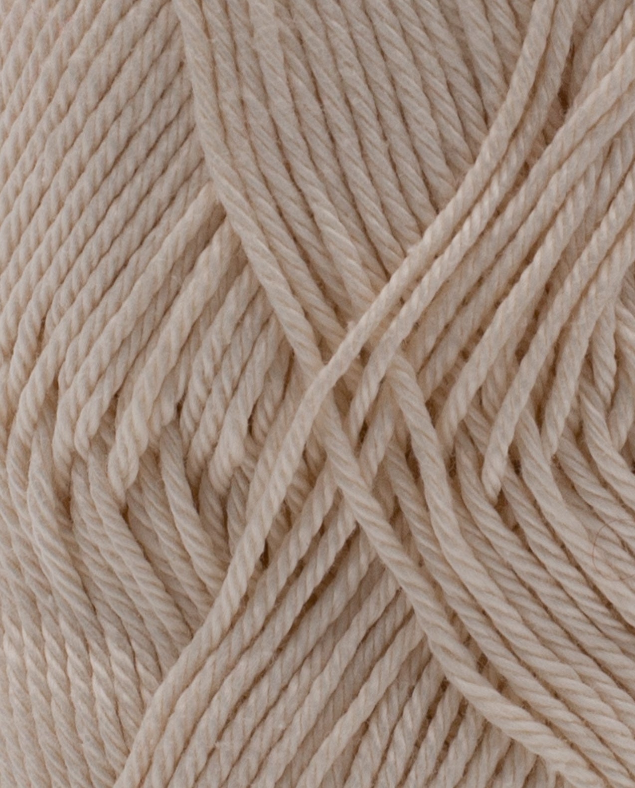 Coton 3