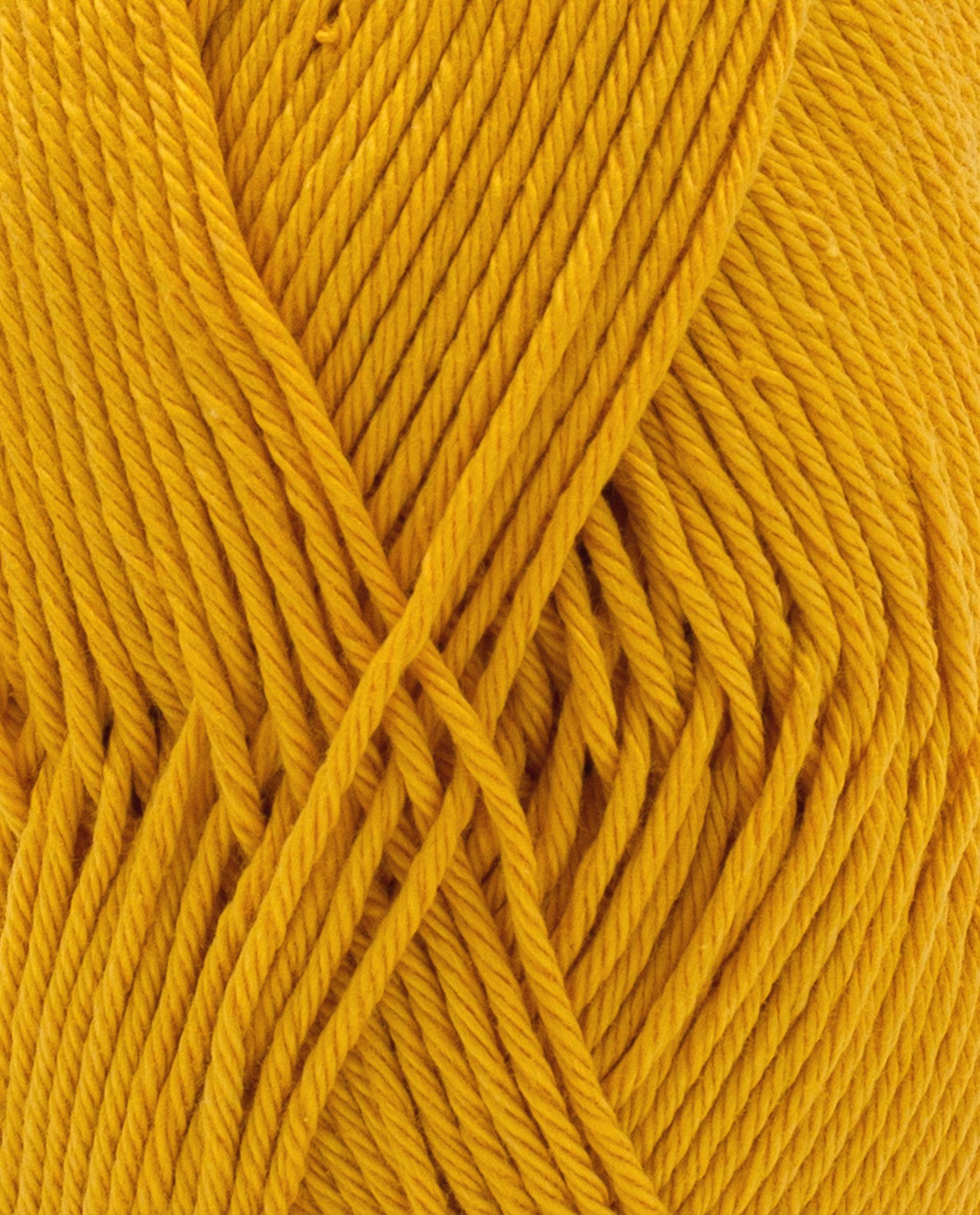 Cotton 4