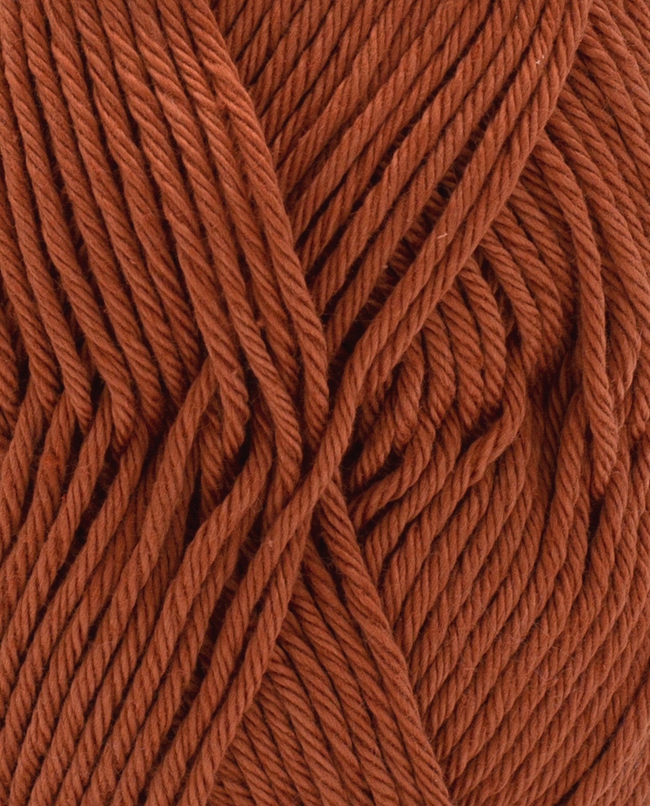 Cotton 4