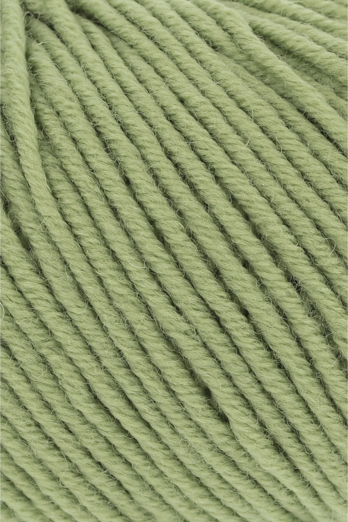 Merino 120