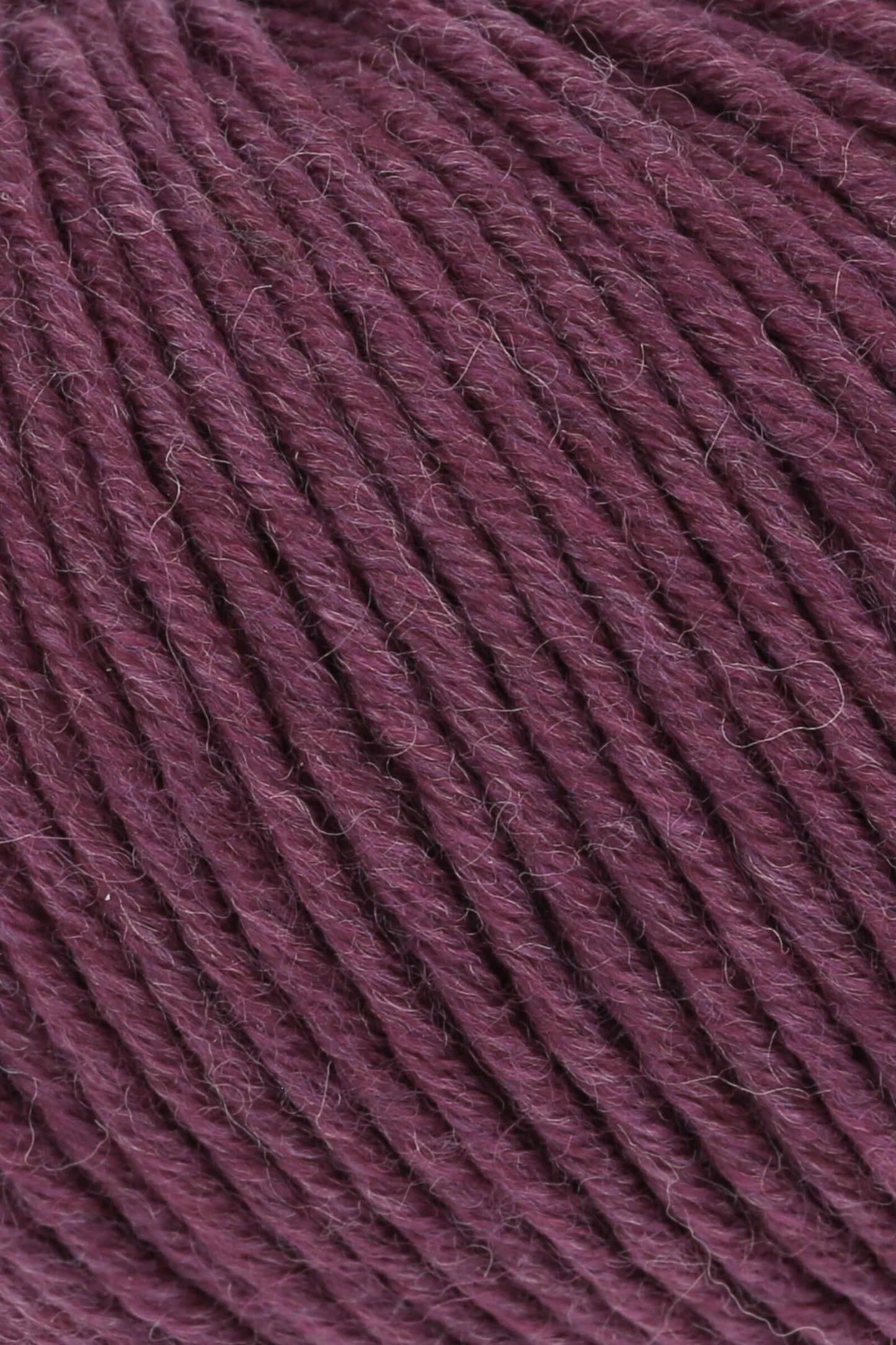 Merino 120