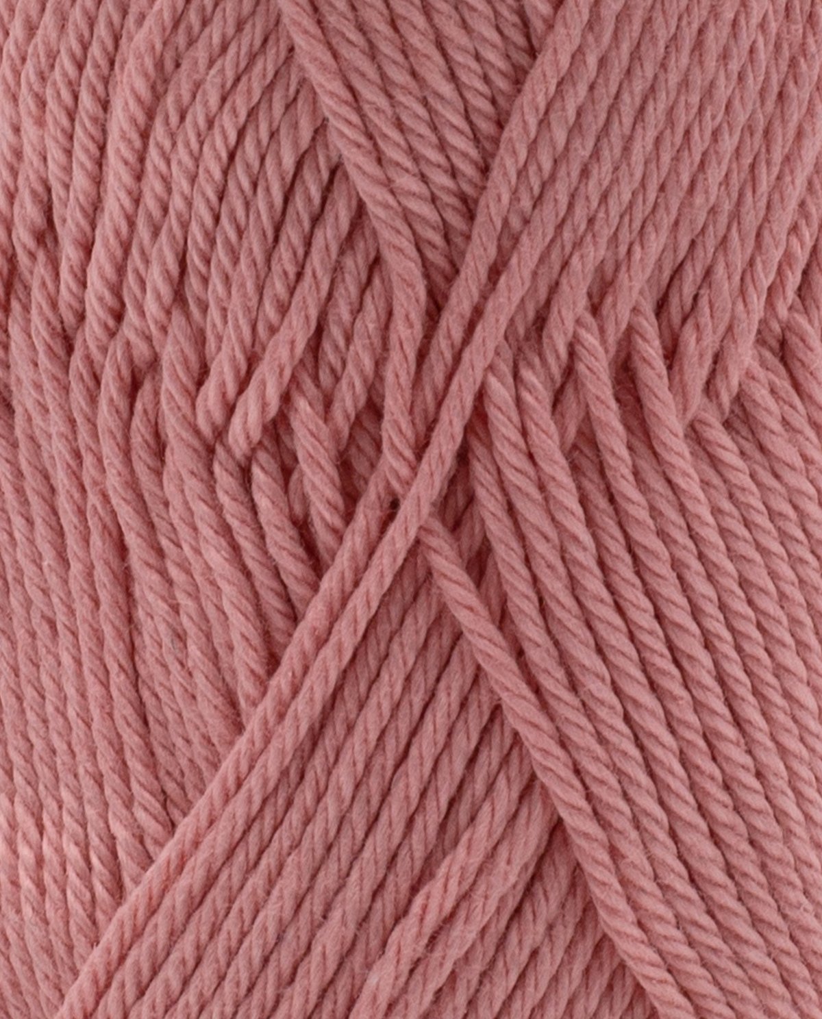 Coton 3