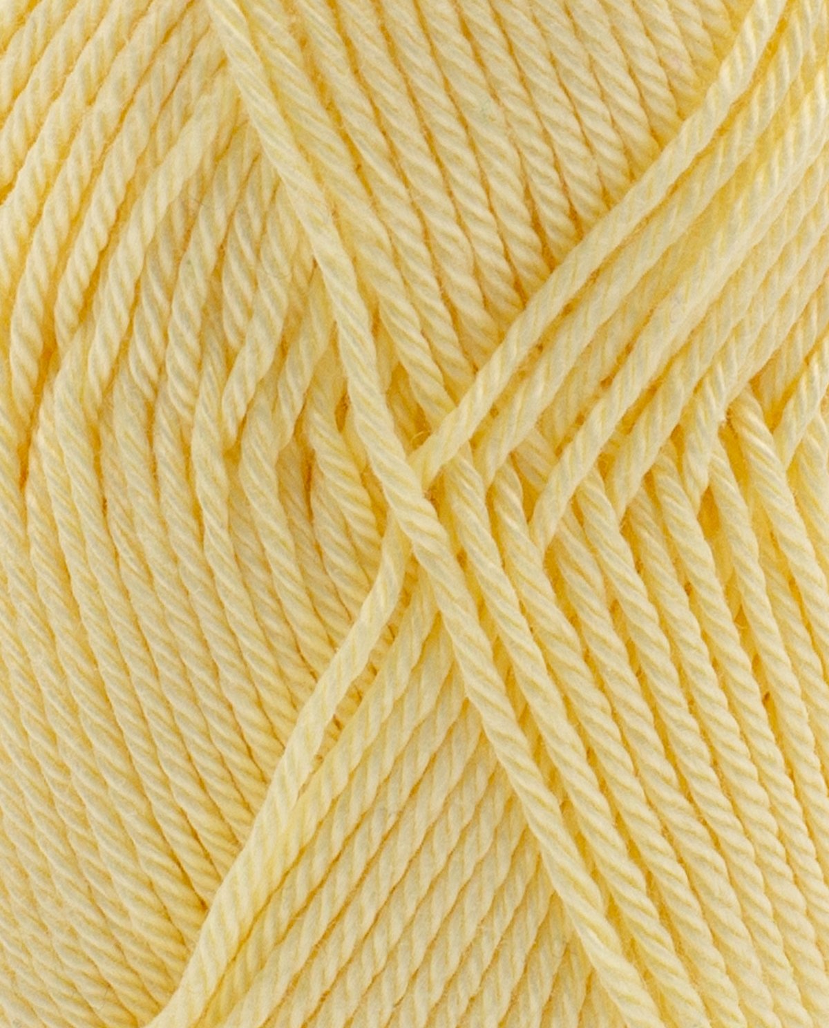 Coton 3