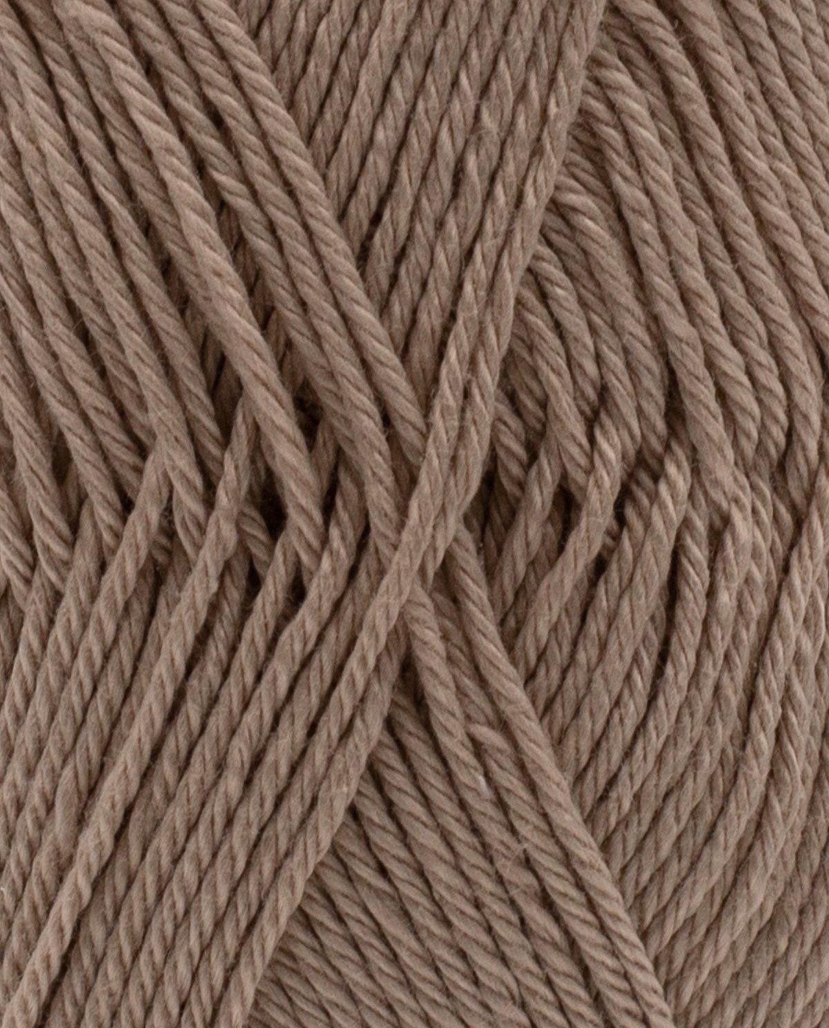 Coton 3