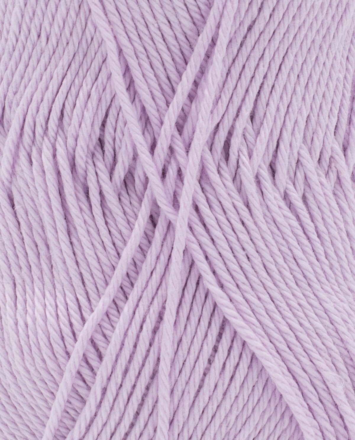 Coton 3