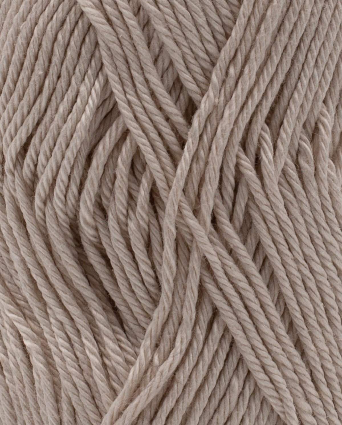 Coton 3